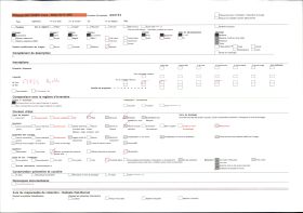 Image représentant Détail de la porte du palais du roi Tôli, motifs sculptés