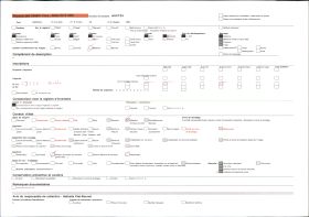 Image représentant Détail de la porte du palais du roi Tôli, motifs sculptés