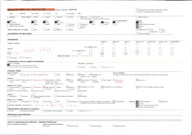 Image représentant Flamboyants et manguiers