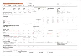 Image représentant Tata (case) somba et plate-forme à sécher le mil