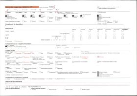 Image représentant Portrait de famille (Cyrille Agbo ?)