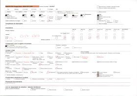 Image représentant Portrait de famille (Cyrille Agbo ?)
