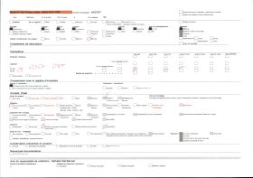 Image représentant Le roi Tôli fumant la pipe et ses dignitaires