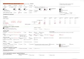 Image représentant Portrait du chef  Justin Aho , neveu de Béhanzin