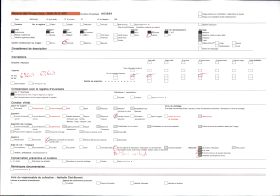 Image représentant Bas-relief d'une résidence du quartier de Gbécon-Hounli, non loin du palais princier de Guézo, figure du cavalier acrobate Aloukiki