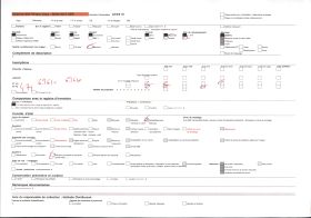 Image représentant Bas-relief d'une résidence du quartier de Gbécon-Hounli, non loin du palais princier de Guézo, figure du cavalier acrobate Aloukiki