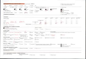 Image représentant Bas-relief d'une résidence du quartier de Gbécon-Hounli, non loin du palais princier de Guézo, figure du cavalier acrobate Aloukiki