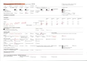 Image représentant Deux féticheuses de Guédé