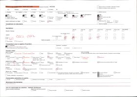 Image représentant Deux féticheuses d'Aligbonon