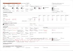 Image représentant Deux féticheuses de Sakpata
