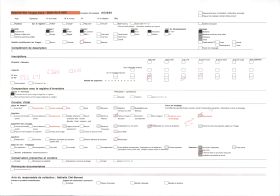 Image représentant Un akée (ou blighia sapida) dans un coin du village de Natitingou