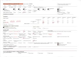 Image représentant Femmes agenouillées devant le tombeau de  null Glélé