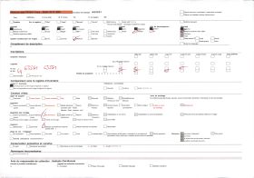 Image représentant Portait du chef Zodéougan