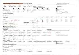 Image représentant Portait du chef Zodéougan