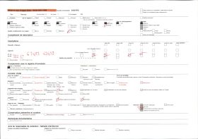 Image représentant Décor en relief sur un bâtiment de réception (Ajalala) de la deuxième cour du palais de  null Glélé