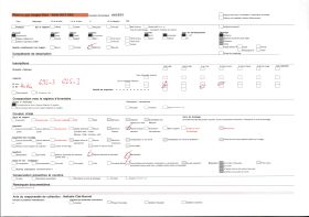 Image représentant Décor peint de panthère et lions sur la djononho ou case des étrangers dans la première cour du palais de  null Glélé