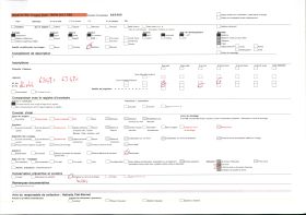 Image représentant Le tribunal indigène ?