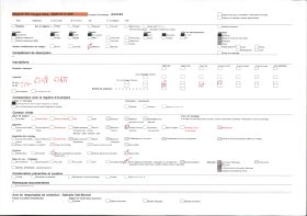 Image représentant Entrée principale (honuwa) du palais de  null Glélé