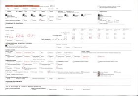 Image représentant Entrée du palais (singbo) de  null Guézo