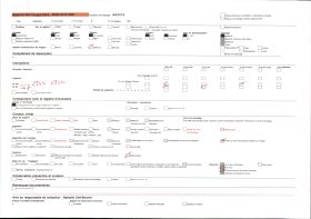 Image représentant Un enfant sur les racines d'un Iroko (ou milicia exclesa) sacré (?)