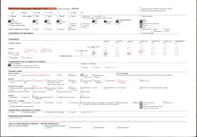 Image représentant Bas-relief d'une résidence du quartier de Gbécon-Hounli, non loin du palais princier de Guézo, motif de poisson avalant un navire européen