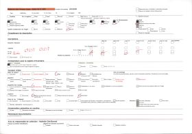 Image représentant Bas-relief d'une résidence du quartier de Gbécon-Hounli, non loin du palais princier de Guézo, motif d'éléphant chargeant un arbre
