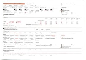 Image représentant Une bananeraie