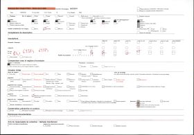 Image représentant Une bananeraie