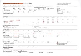 Image représentant L'entrée d'un enclos sacré