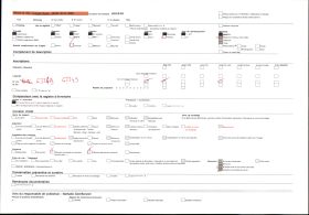 Image représentant Danseur avec le masque " Malilaloqué " (chef musulman)