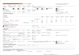 Image représentant Portrait de monsieur Laurent Gayet en costume de chef dahoméen à Gbejehoun ?