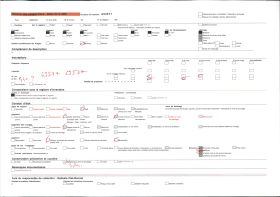 Image représentant Deux féticheuses de Zomadonou