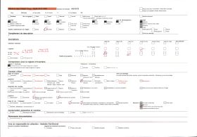 Image représentant Décor en relief du pignon sud-est de l'ajalala (salle de réception) du palais de  null Guézo