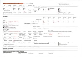 Image représentant Un chronoxyle d'Iroko (ou milicia exclesa) sacré ou arbre fétiche