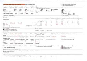 Image représentant Palmiers à huile et culture de manioc