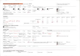 Image représentant Un baobab