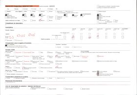 Image représentant Mur d'enceinte du jardin de  null Guézo