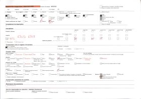 Image représentant Un bois sacré faisant office d'enclos fétichiste