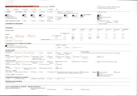Image représentant Un bois sacré faisant office d'enclos fétichiste