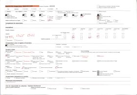 Image représentant Un bois sacré faisant office d'enclos fétichiste