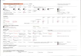 Image représentant Danseur avec le masque " Malilaloqué " (chef musulman)
