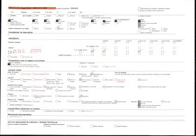 Image représentant Danseur avec le masque " Malilaloqué " (chef musulman)