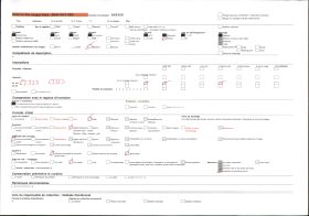 Image représentant Deux féticheuses de Doudoua
