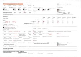 Image représentant Féticheuse Iyalashé de Doudoua