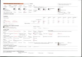 Image représentant Féticheuse Iyalashé de Doudoua