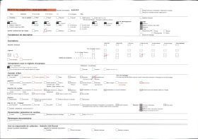 Image représentant Exposition d'art africain, panier