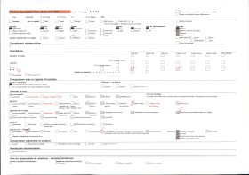 Image représentant Exposition d'art africain, chapeau de paille