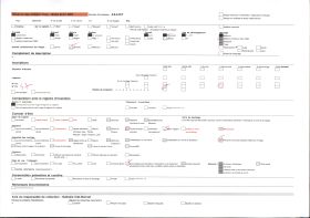 Image représentant Exposition d'art africain, masque au serpent