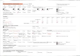 Image représentant Exposition d'art africain, pagne de toilette féminin