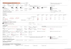 Image représentant Le chef féticheur du Serpent, prêtre au culte de Dangbé